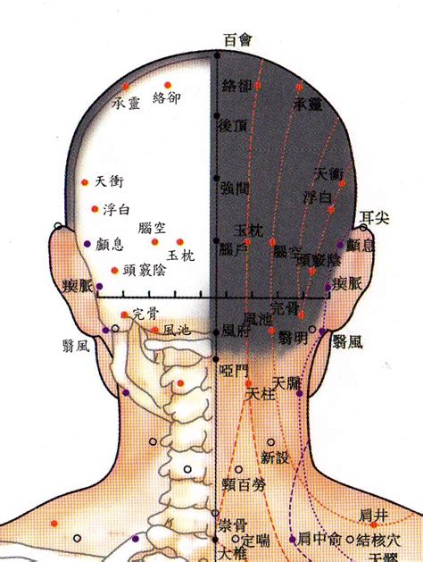 頭上穴道